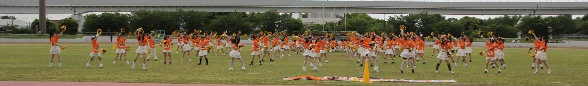 オレンジ (2).JPG